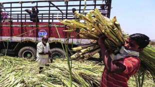 sugarcane farmers in maharashtra