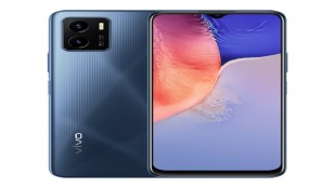 vivo