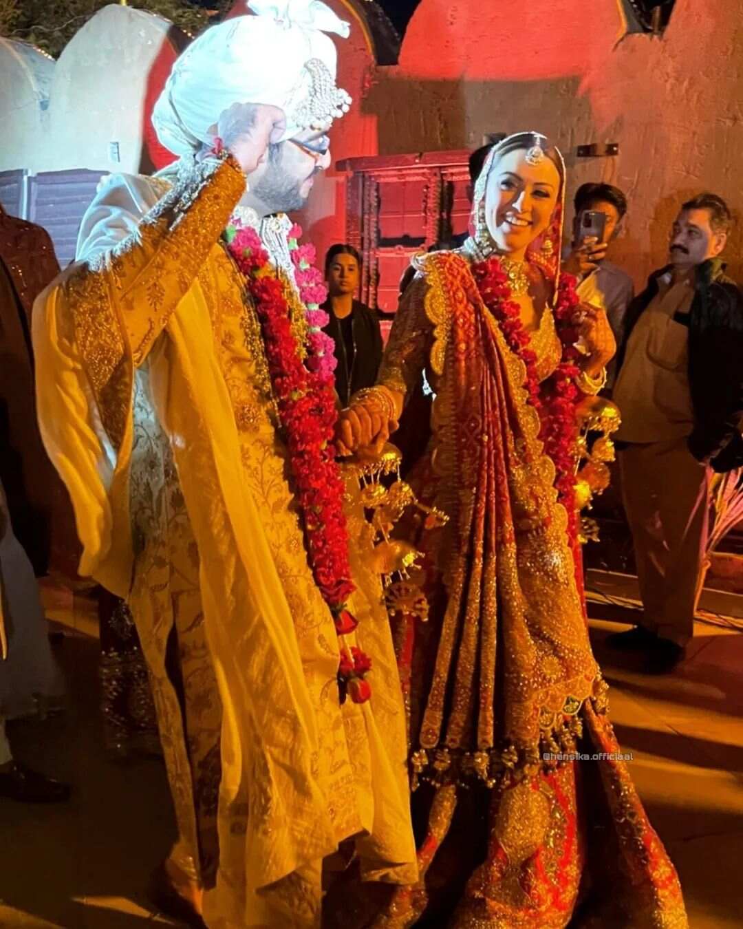 hansika motwani wedding