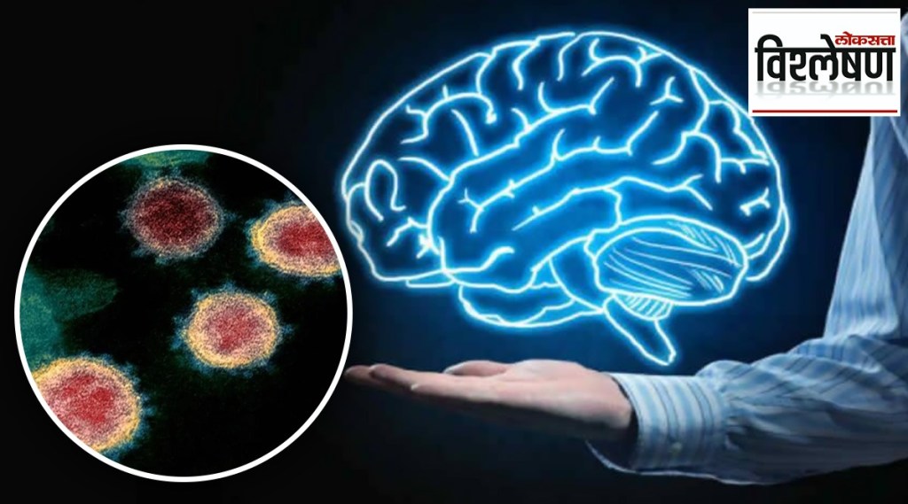 Brain-Eating Amoeba Latest News