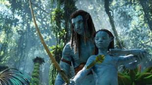 man dies while watching Avatar 2