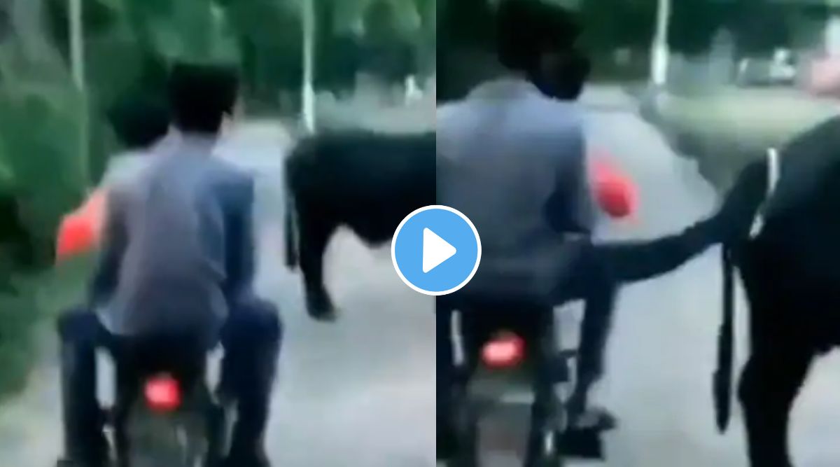 Viral video
