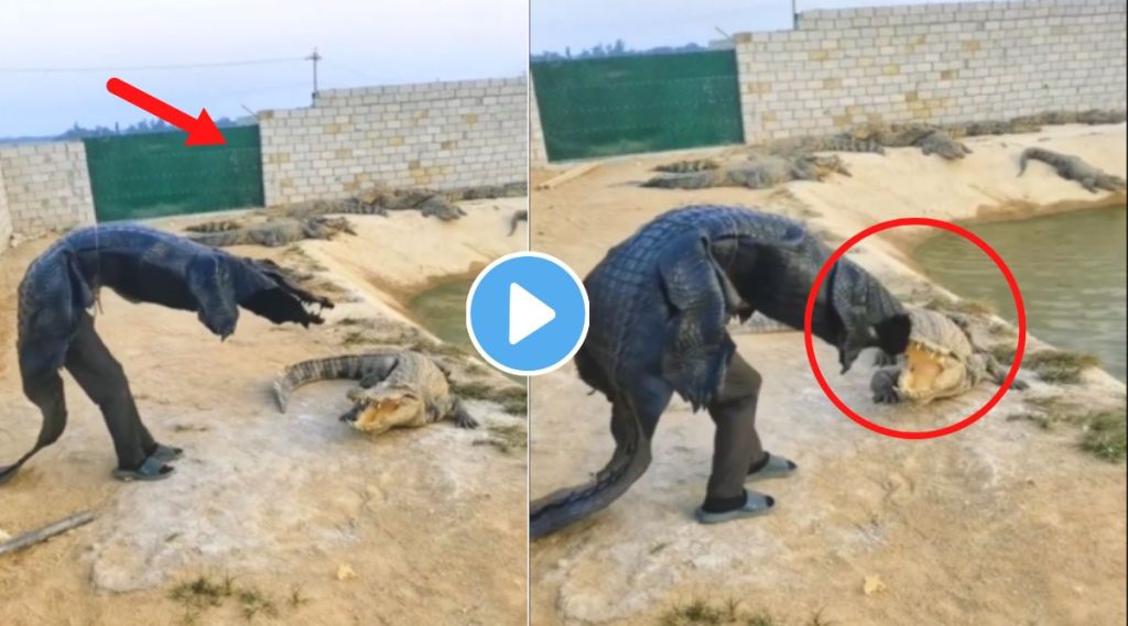 Crocodile attack on a man Instagram viral video
