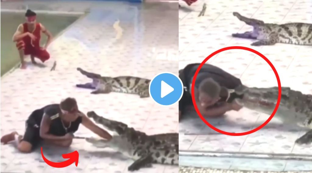 Crocodile attacked a man viral video