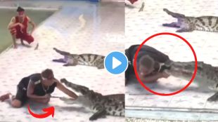 Crocodile attacked a man viral video