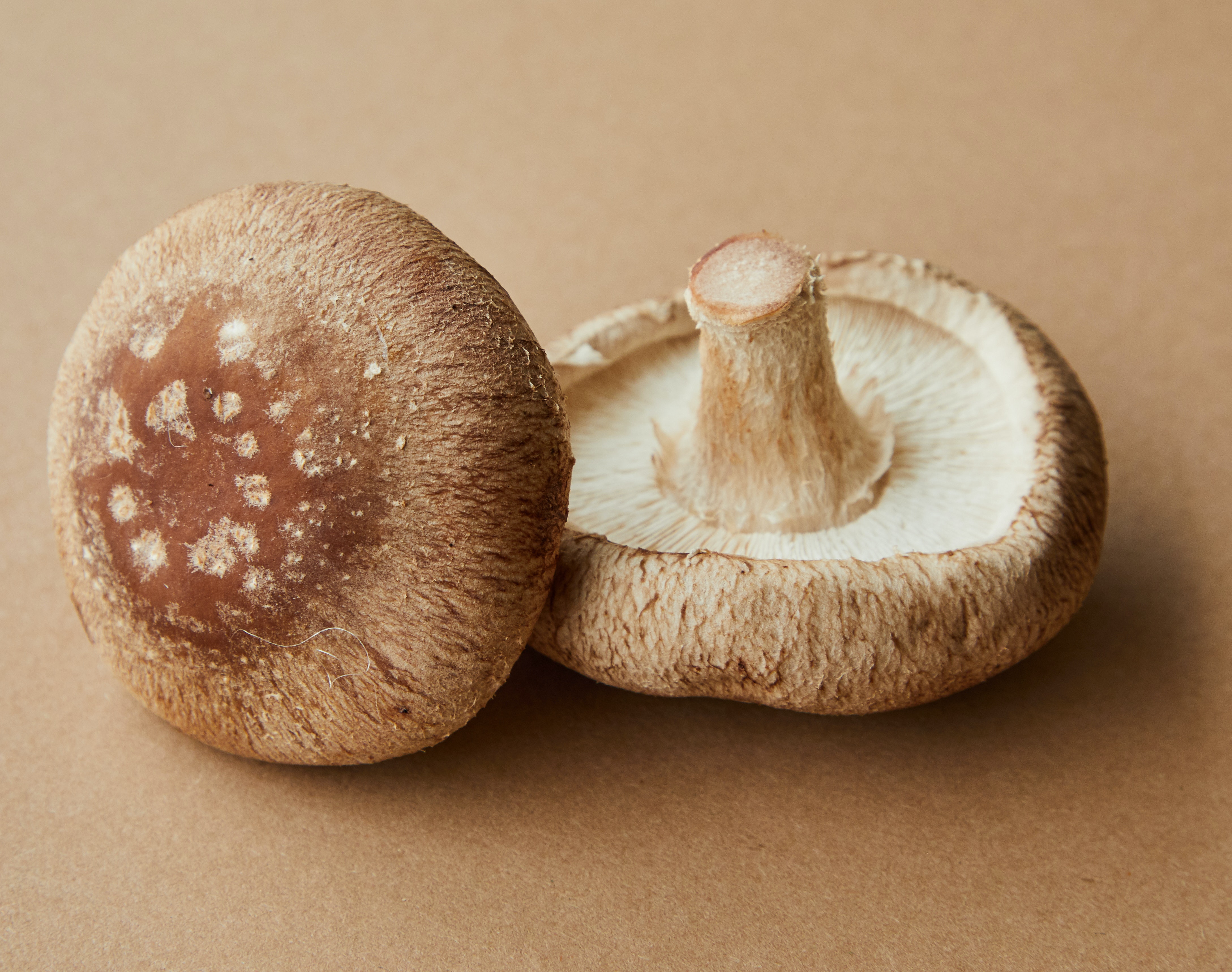 Eating Mushroom During Pregnancy