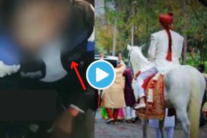 Video MBA Student Caught Eating Free In Wedding Punished Brutally Share with Your Friends Who Is Always Hungry