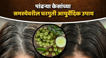 Natural Hair Dye Of Amla And Shikakai For White Hair Know How To Make It At Home