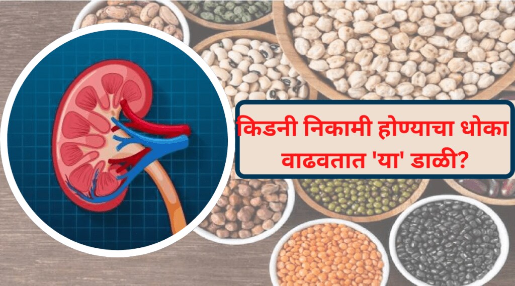 Pulses That Increase Uric Acid and Cause Kidney Failure How To Quickly
