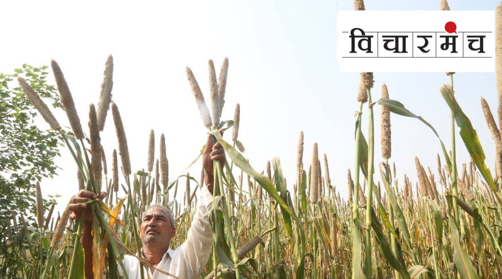 International Year of Millets 2023, farmer, farming, market