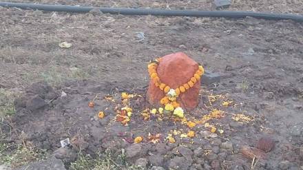 agriculture sp in chadrapur intends bury monkey cremated road accident in government office area