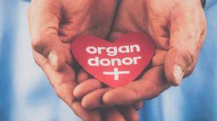 life was saved due to organ donation by a duty policeman at mgm hospital in kamothe