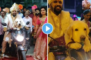 Groom entry with dog video