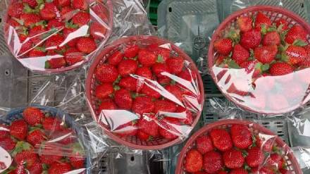 inflow of strawberries increased in apmc market fall in price in navi mumbai