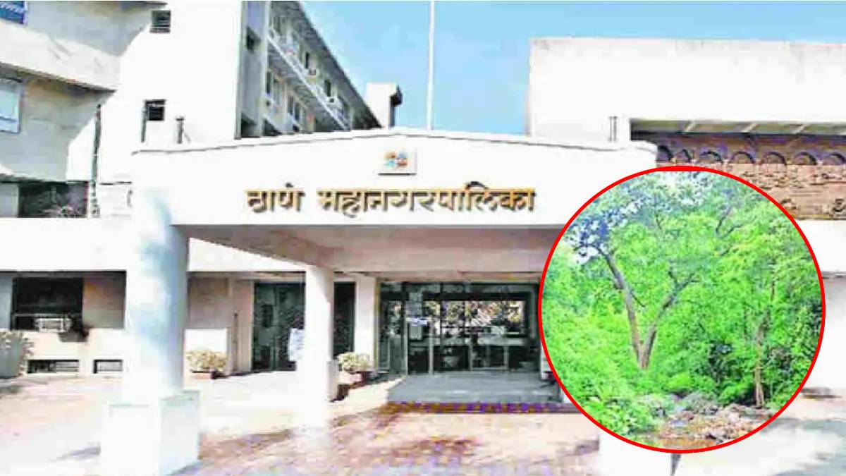 municipal corporation initiative to green the city miyawaki forest at eight places in thane city
