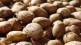 Increase in potato prices in apmc market Inflow of new potatoes increased in navi mumbai