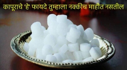 camphor benefits