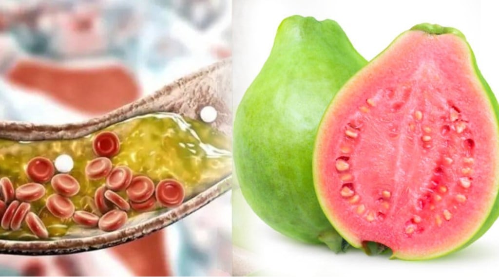 guava for cholesterol control