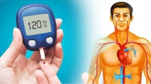 what is normal blood sugar level