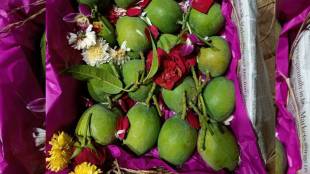 a two month wait for alphonso season first box of devgad alphonso in the market in pune