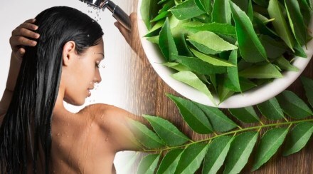 curry leaves for hair
