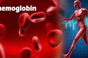 Normal hemoglobin range