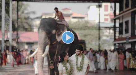 Viral Video Elephant gets angry during Pre Wedding Photoshoot watch what happens next