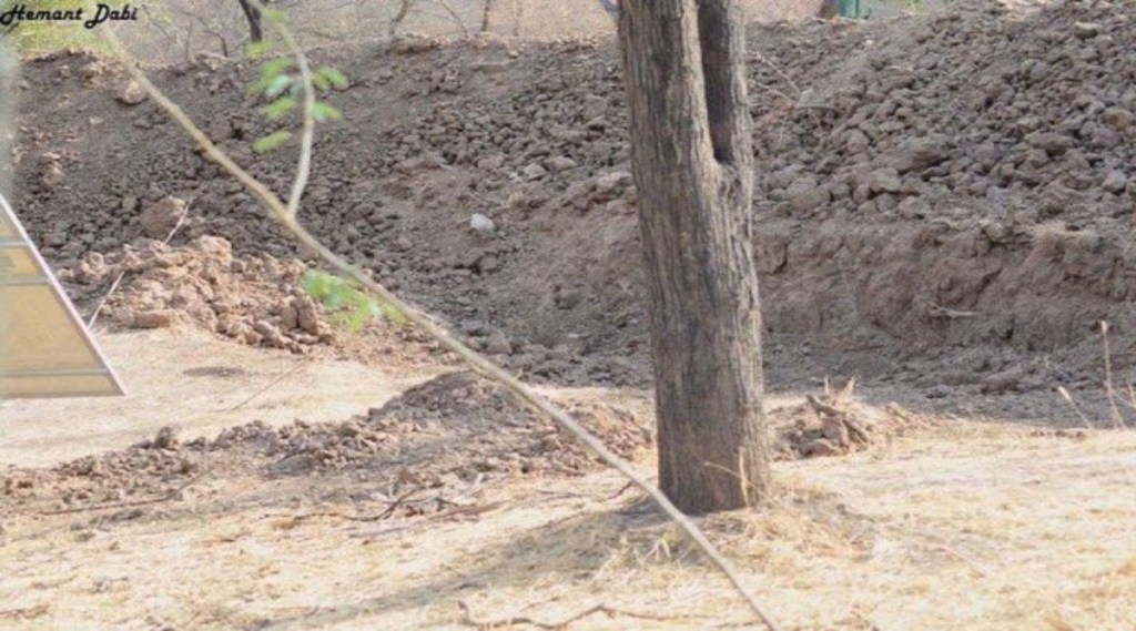 Optical illusion Can you spot hidden leopard in this viral photo take a challenge
