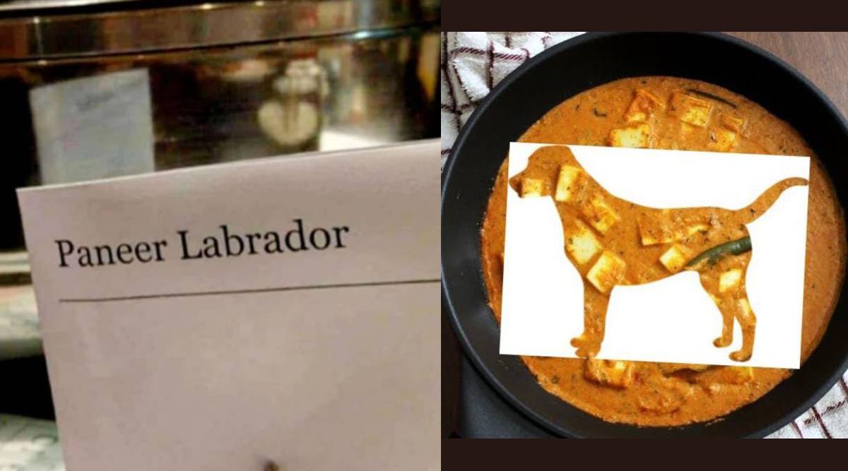 Paneer labrador instead of paneer lababdar printed on hotel menu card is now viral see what netizens have to say about it