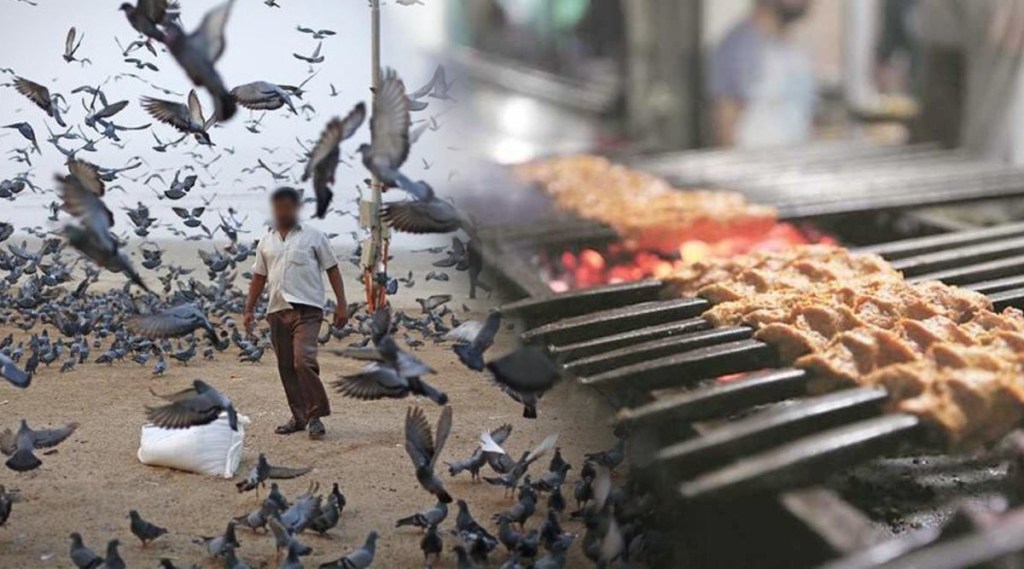 ‘तो’ कबुतराचं मांस चिकन म्हणून हॉटेल्सला विकायचा; मुंबईमधील धक्कादायक प्रकार, आठ जणांविरुद्ध गुन्हा दाखल