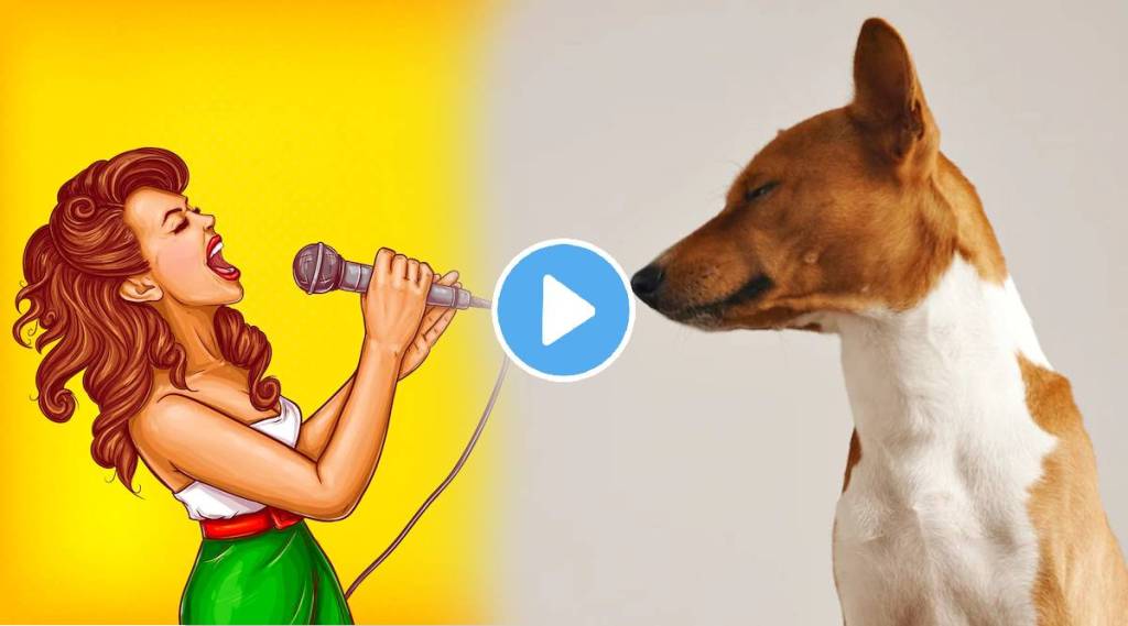 See what the dog did when he did not like the womans song viral video will make you laugh