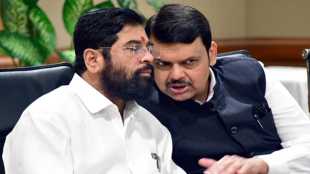 Shinde-Fadnavis-govt-29-2