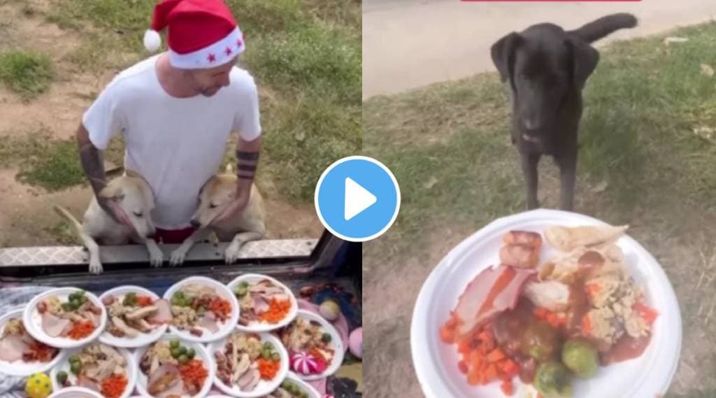 मुक्या प्राण्यांसाठी तो बनला सांताक्लॉज; अनोख्या ख्रिसमस पार्टीचा Viral Video एकदा पाहाच