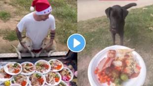 Viral Video Man Gives Christmas party to stray dogs this adorable celebration wins internet