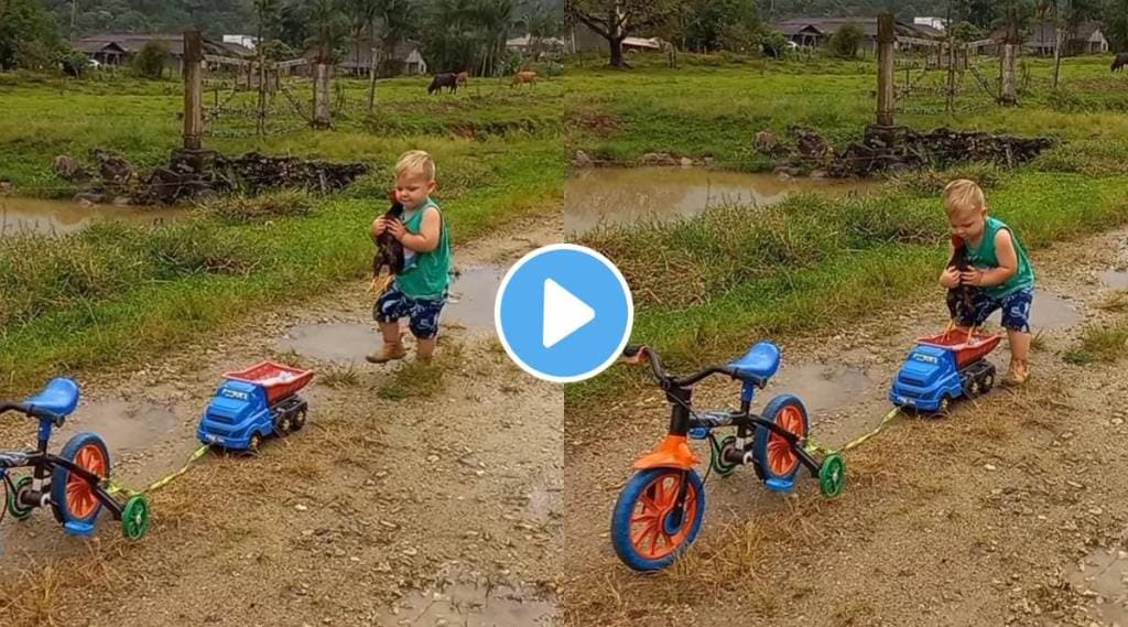 Viral Video Toddler gives car ride to chicken this cute gesture will definitely melt your heart