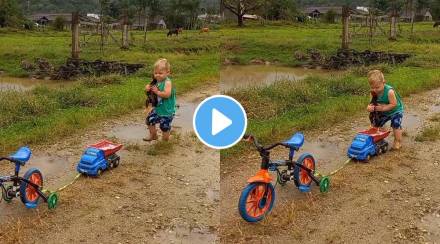 Viral Video Toddler gives car ride to chicken this cute gesture will definitely melt your heart