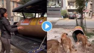 Viral video woman makes home for stray dogs having trouble in cold weather