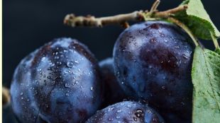 black java plum