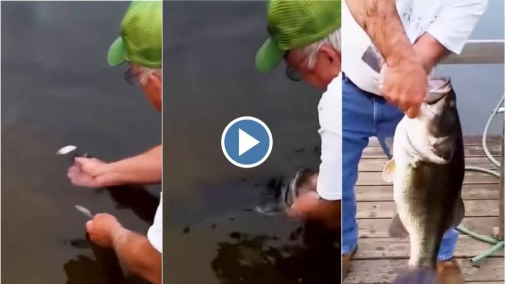 Viral Video of Fishing