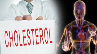 how to reduce cholestrol level