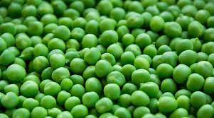 Decline in the price of green peas in the Navi Mumbai wholesale market