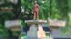 dwarkanath shantaram kotnis statue