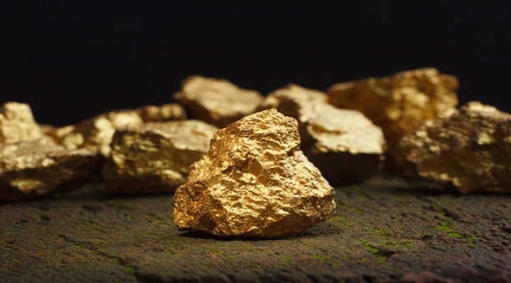 नागपूरच्या जमिनीत दडलय सोनं; कुही, भिवापुरात मौल्यवान धातू साठे