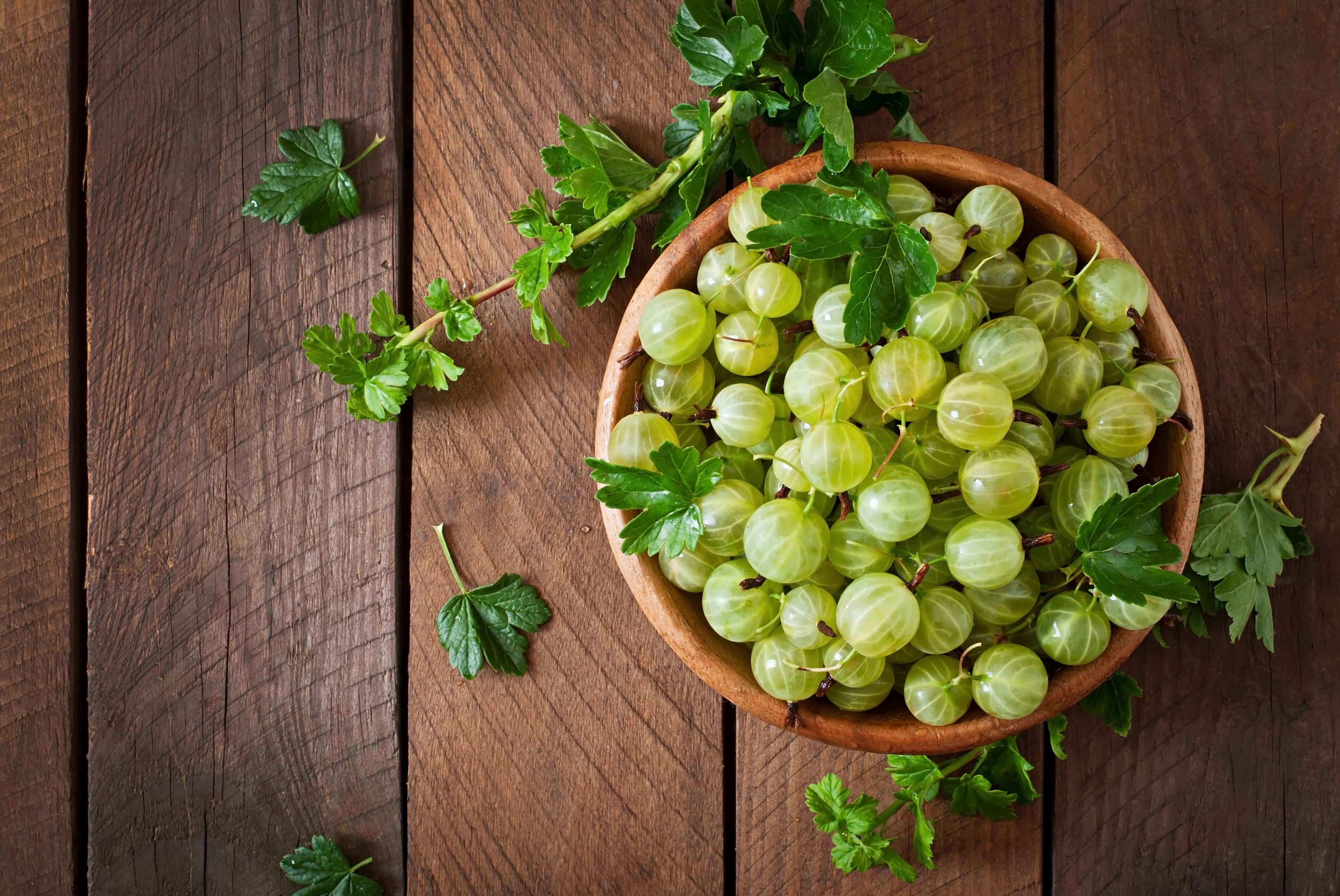 gooseberries amla in winter