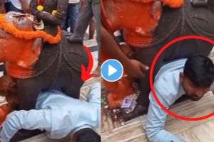 gujrat temple viral video