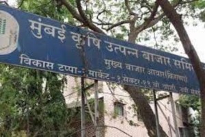 Bombay Agricultural Produce Market Committee