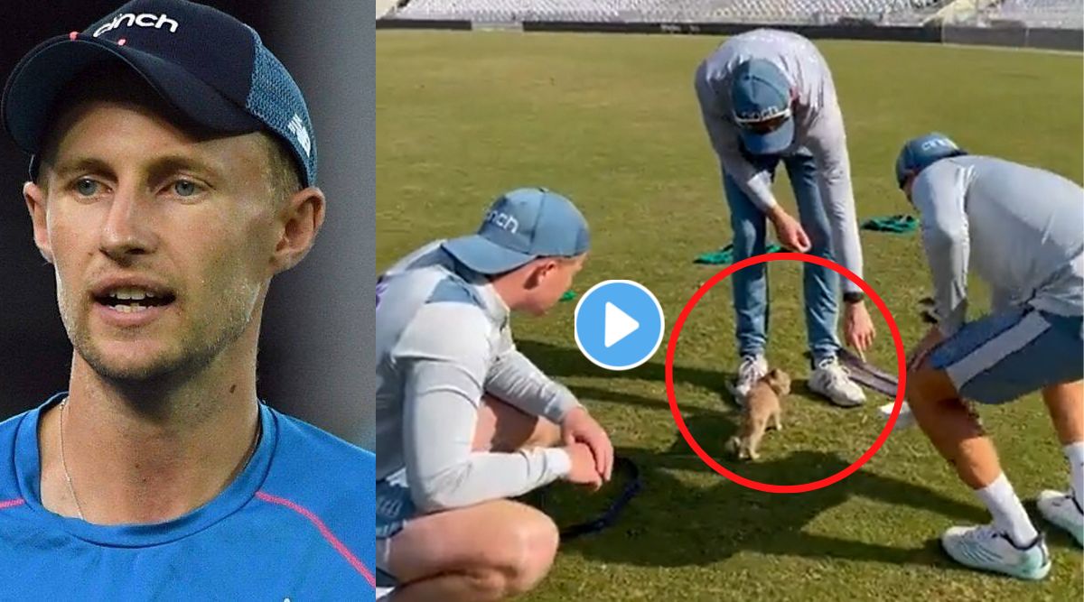 joe root viral video