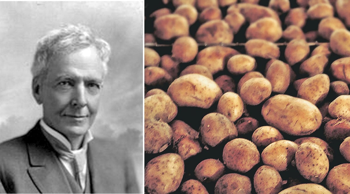 american botanist luther burbank experiment on potato zws 70 | Loksatta