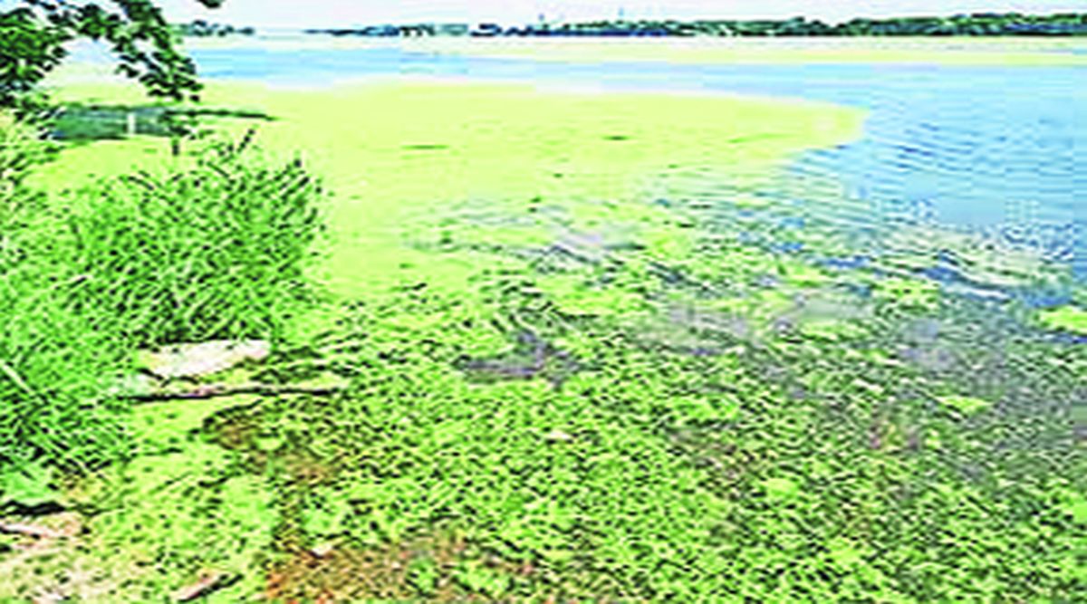 kutuhal water