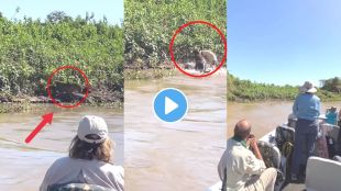 leopard kills crocodile viral video instagram